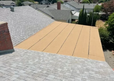 Best roofing services